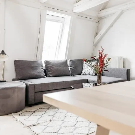 Apartment Cosy Studio Next To Kultorvet