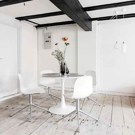 Apartment Cosy Studio Next To Kultorvet