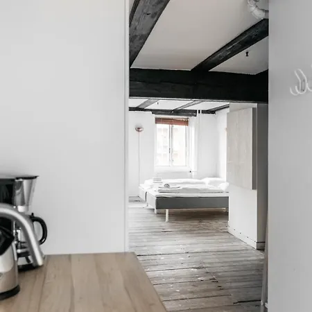 Cosy Studio Next To Kultorvet